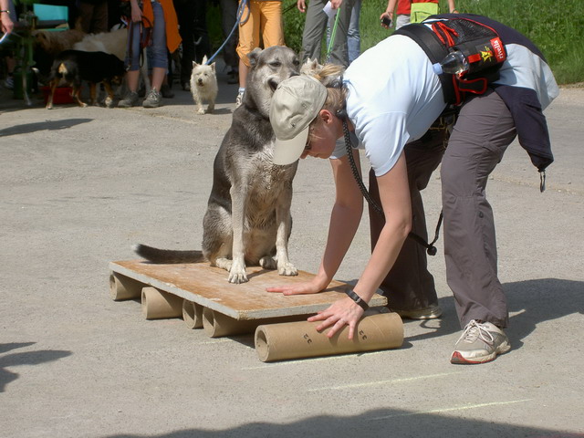Parcour 08