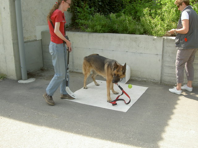 Parcour 08